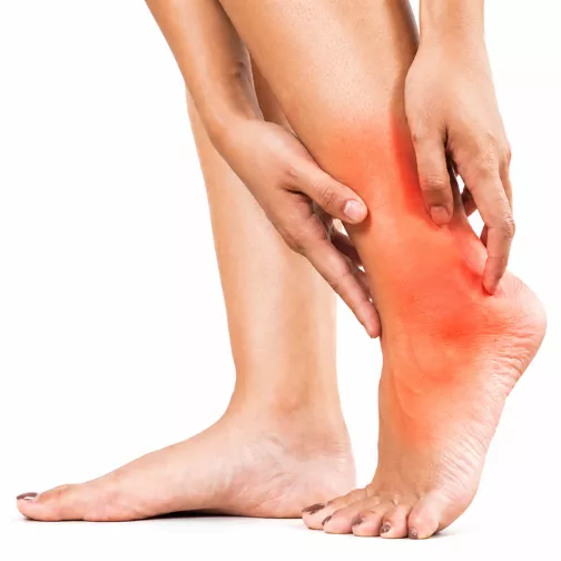 Ankle