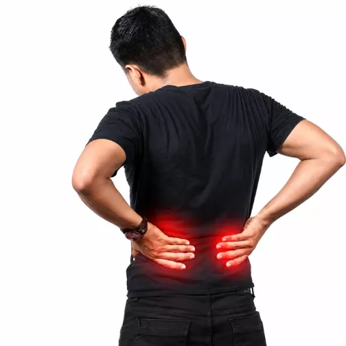 Back & Spine