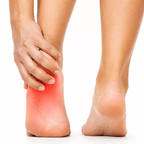 Foot