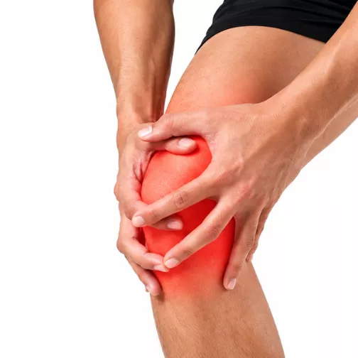 Knee