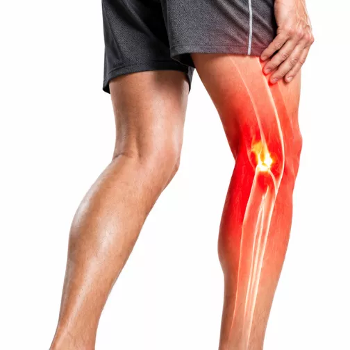 Leg & Calf