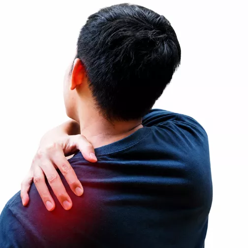 Shoulder